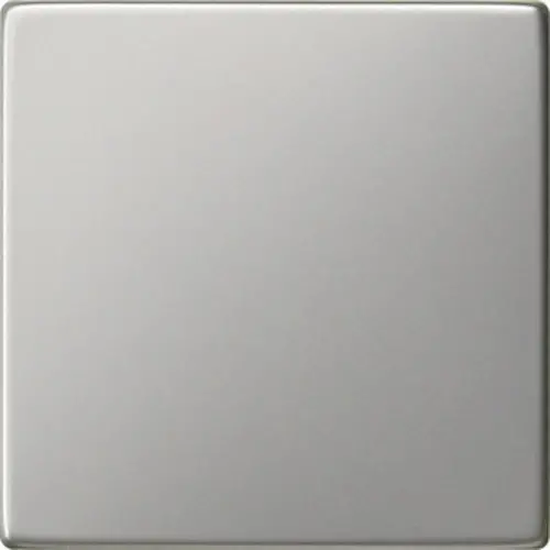 Gira 0296600 schakelwip Systeem 55 edelstaal oud model