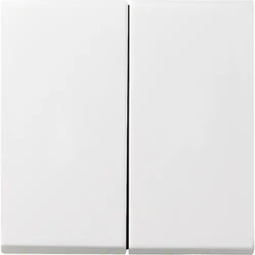 Gira 029527 schakelwip 2-voudig Systeem 55 wit mat oud model