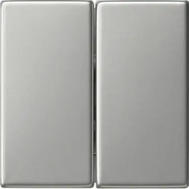 Gira 0295600 schakelwip 2-voudig Systeem 55 edelstaal oud model