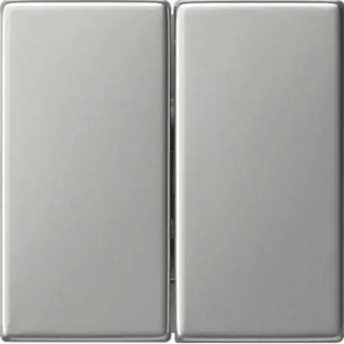 Gira 0295600 schakelwip 2-voudig Systeem 55 edelstaal oud model