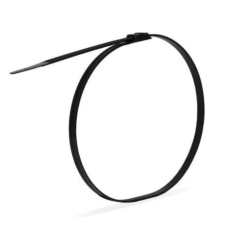 Panflex 120.135.00.25 Nylon slangklem klembereik Ø20-160mm lengte 540mm 25 stuks