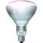 Philips IR250CH infrarood verwarmingsgloeilamp helder E27 250W BR125 230-250V