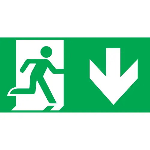 Intelight 39977/OR5 pictogram 300x100