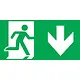 Intelight 39977/OR5 pictogram 300x100