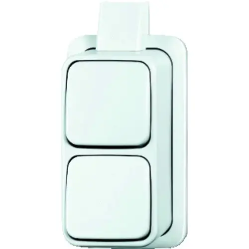 Busch-Jaeger 2601/6/2601/6 APJW wissel/wisselschakelaar K/P-25 opbouw AP plus wit