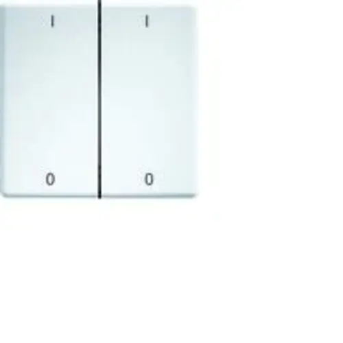 Eltako DW-FT55- Laser gegraveerde wippen voor 55x55mm o.a. FT55 pulsdrukkers