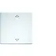 Eltako W-FT55-rw+2P wippen lasergraviert voor Taster und Schalter 55er Design und E-Design5