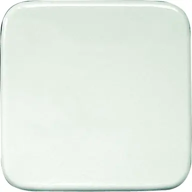 Eltako W-FT55R-R9010 wip lasergraviert voor Funktaster 55x55mm voor busch Reflex und Duro