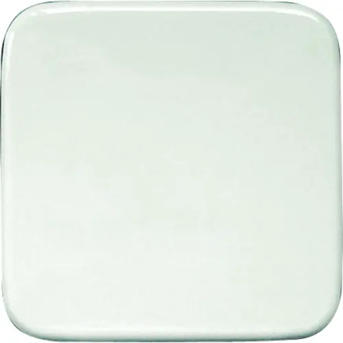 Eltako W-FT55R-R9010 wip lasergraviert voor Funktaster 55x55mm voor busch Reflex und Duro