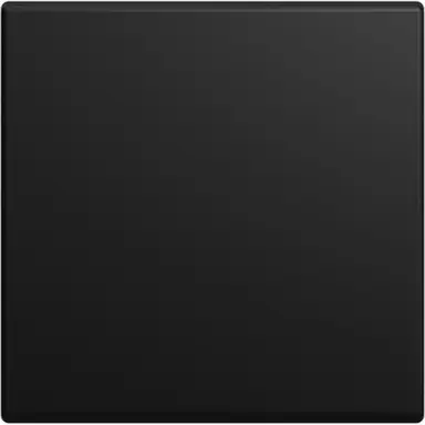 Busch-Jaeger 2506-915 schakelwip enkel Balance SI zwart mat