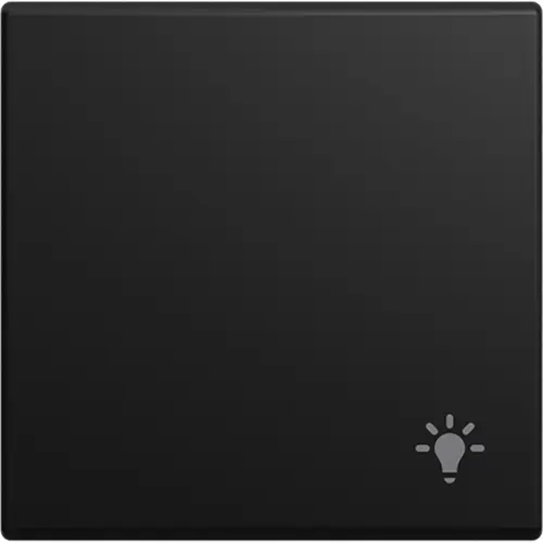 Busch-Jaeger 2520 LI-915 schakelwip symbool licht Balance SI zwart mat