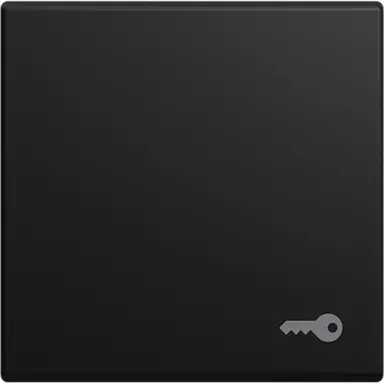 Busch-Jaeger 2520 TR-915 schakelwip symbool sleutel Balance SI zwart mat