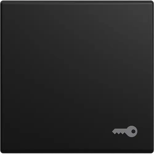 Busch-Jaeger 2520 TR-915 schakelwip symbool sleutel Balance SI zwart mat