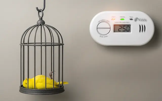 Vragen over koolmonoxidemelders