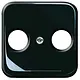 Busch-Jaeger 2531-215 centraalplaat antenne / COAX wandcontactdoos Standaard SI zwart