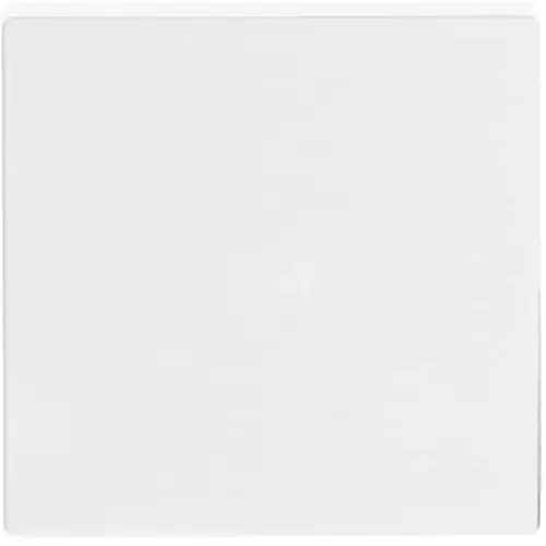 Busch-Jaeger 1786-84 schakelwip Future Linear studiowit glans