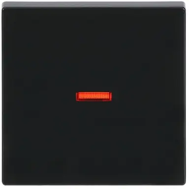 Busch-Jaeger 1789-81 schakelwip controlevenster rood Future Linear antraciet glans