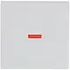 Busch-Jaeger 1789-84 schakelwip controlevenster rood Future Linear studiowit glans
