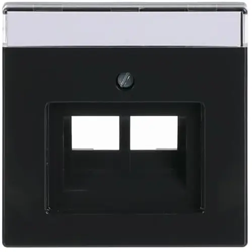 Busch-Jaeger 1803-02-81 centraalplaat RJ45 wandcontactdoos 2-voudig Future Linear antraciet glans