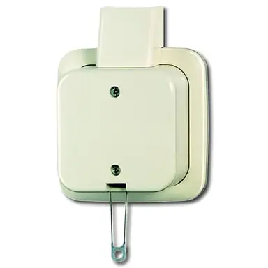 Busch-Jaeger 2610/6 APJ trekschakelaar wissel K/P-25 opbouw AP plus creme