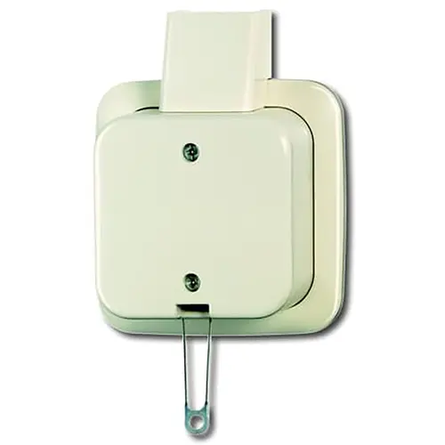 Busch-Jaeger 2610/6 APJ trekschakelaar wissel K/P-25 opbouw AP plus creme