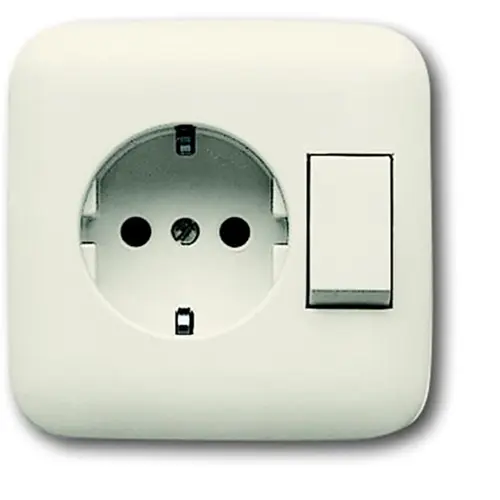 Busch-Jaeger 4310/6 EUJ-212-500 combinatie schakelaar/wandcontactdoos randaarde Standaard SI