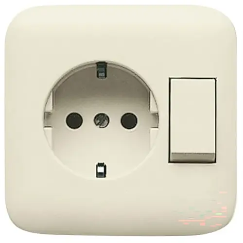 Busch-Jaeger 4310/6 UJ-212-500 combinatie wandcontactdoos/schakelaar zonder randaarde Standaard SI