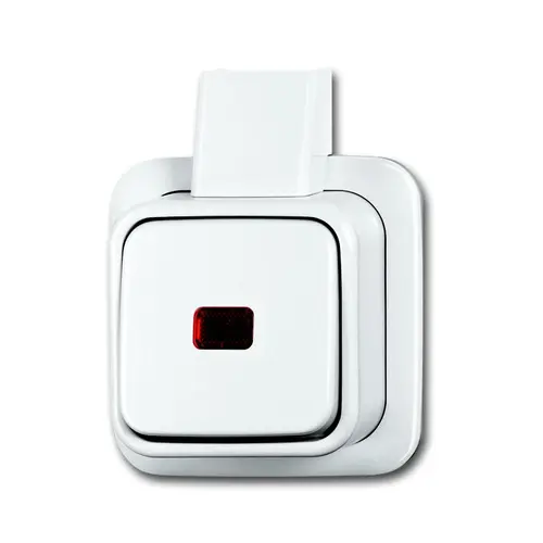 Busch-Jaeger 2601/6 SKAPJW wipschakelaar 1-polig met controlelamp K/P-25 opbouw AP plus wit