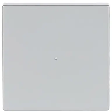 Busch-Jaeger 6230-10-83 bedieningswip 1-voudig tbv bedieningselement flex 1-voudig Future Linear aluzilver