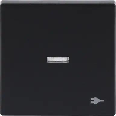 Busch-Jaeger 1789 ST-81 schakelwip controlevenster symbool stekker Future Linear antraciet glans