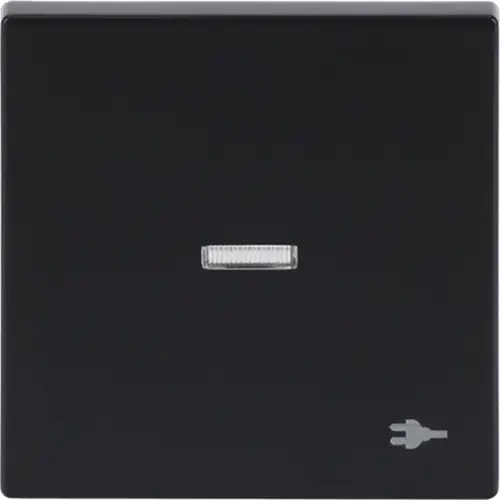 Busch-Jaeger 1789 ST-81 schakelwip controlevenster symbool stekker Future Linear antraciet glans