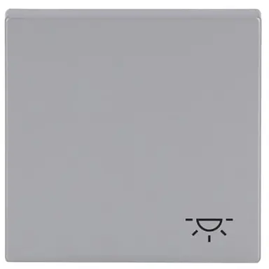 Busch-Jaeger 2520 LI-83 schakelwip symbool licht Future Linear aluzilver