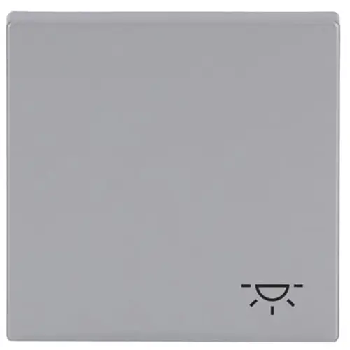 Busch-Jaeger 2520 LI-83 schakelwip symbool licht Future Linear aluzilver