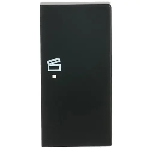 Busch-Jaeger 6233-22-885 bedieningswip rechts symbool scene tbv bedieningselement flex 2-voudig Future Linear zwart mat