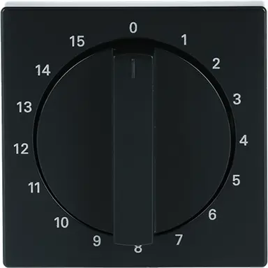 Busch-Jaeger 1770-81-103 draaigreep tijdschakelaar 15 min Future Linear antraciet glans