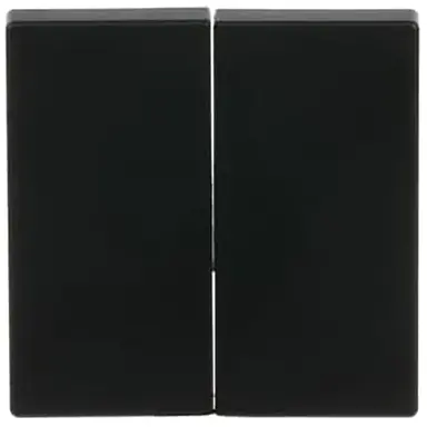 Busch-Jaeger 6736 FoH-885 Friends of Hue schakelwip 2-voudig Future Linear zwart mat