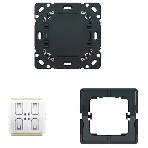 Busch-Jaeger 6716 U-500 Friends of Hue smart switch sokkel wandzender 2-kanaals Future Linear