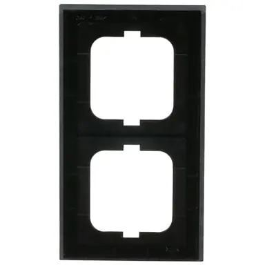 Busch-Jaeger 1722-290 afdekraam 2-voudig Axcent leisteen grijs