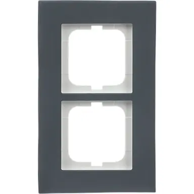 Busch-Jaeger 1722-815 afdekraam 2-voudig Carat porselein antraciet