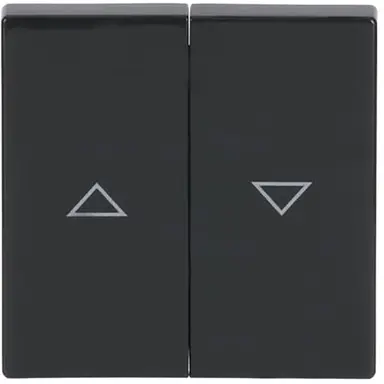 Busch-Jaeger 1785 JA-81 wip jaloezieschakelaar 2-voudig antraciet glans