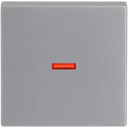 Busch-Jaeger 1789-83 schakelwip controlevenster rood Future Linear aluzilver