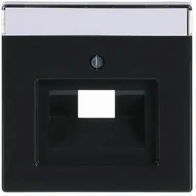 Busch-Jaeger 1803-81 centraalplaat RJ45 wandcontactdoos Future Linear antraciet glans