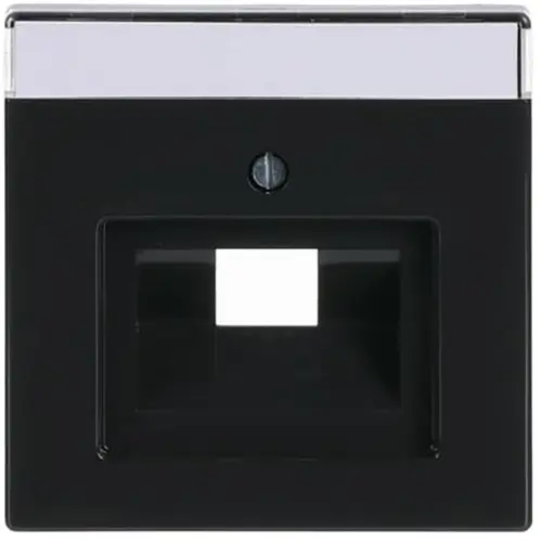 Busch-Jaeger 1803-81 centraalplaat RJ45 wandcontactdoos Future Linear antraciet glans