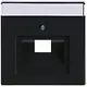 Busch-Jaeger 1803-81 centraalplaat RJ45 wandcontactdoos Future Linear antraciet glans