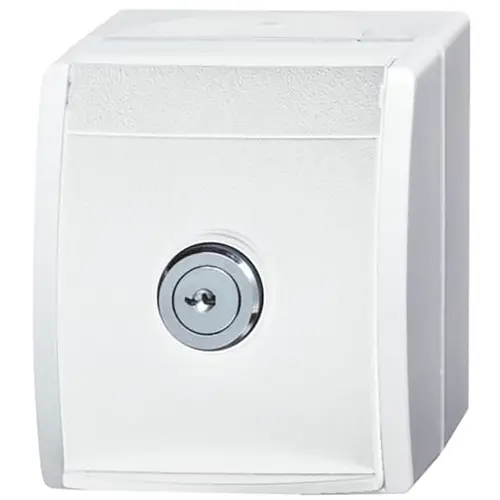 Busch-Jaeger 20 EWSL-101-54 wcd ra kd eenhdsslt ocn-alp
