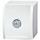 Busch-Jaeger 20 EWSL-101-54 wcd ra kd eenhdsslt ocn-alp