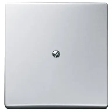 Busch-Jaeger 2138-33 blindplaat incl. draagframe IP44 aluzilver