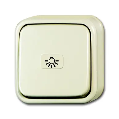 Busch-Jaeger 2601/6 APLI/11-503 wisselschakelaar met nalichtend symbool licht opbouw AP plus creme