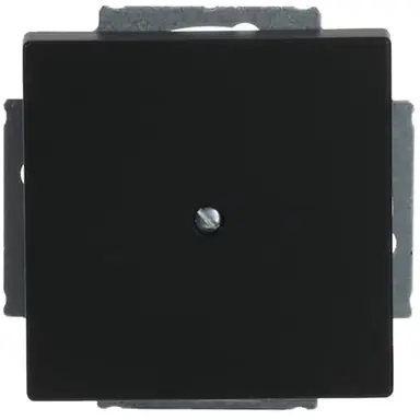 Busch-Jaeger 1742-885 blinddeksel incl. draagframe Future Linear zwart mat