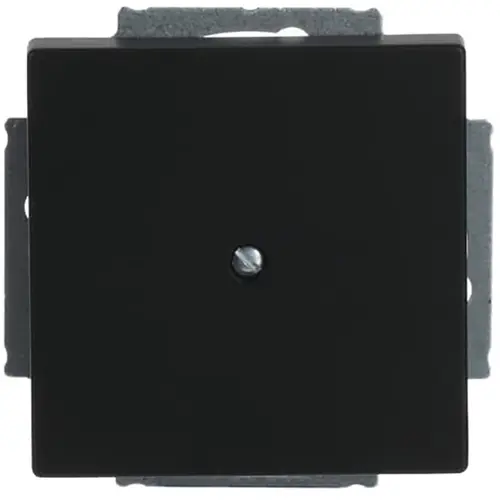 Busch-Jaeger 1742-885 blinddeksel incl. draagframe Future Linear zwart mat